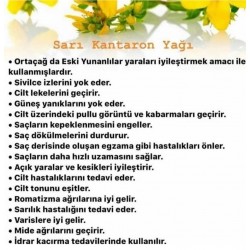 ARI DAMLASI SARI KANTARON YAĞI 250 ML