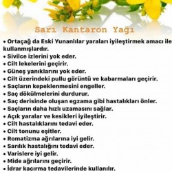 ARI DAMLASI SARI KANTARON YAĞI 250 ML