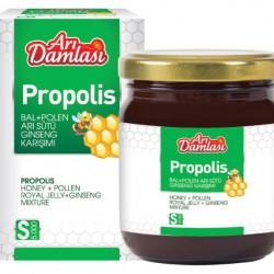 ARI DAMLASI PROPOLİS EXTRAKT ( BAL, POLEN, ARI SÜTÜ, GİNSENG ) 230 GR